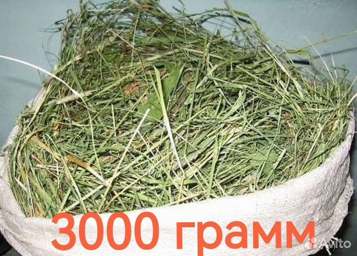 Сено луговое разнотравье