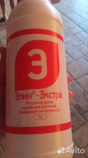 Эпин растения