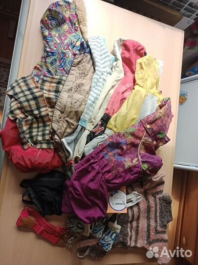 Одежда для собак