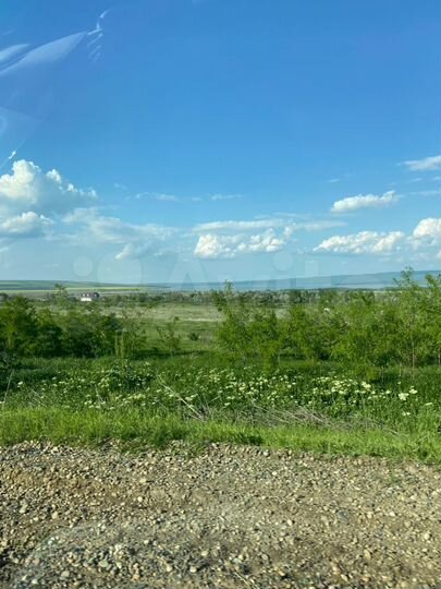 Участок 100 сот. (СНТ, ДНП)