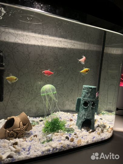 Аквариум
