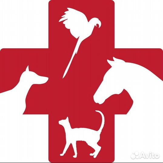 Ветеринарный врач на дом