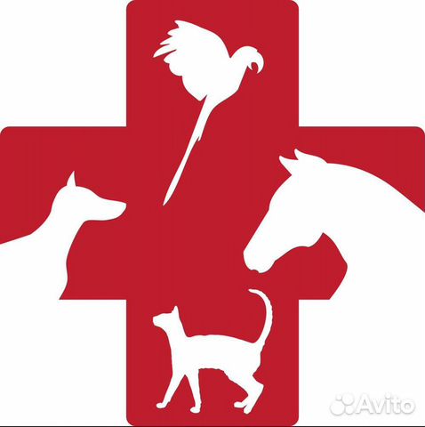 Ветеринарный врач на дом