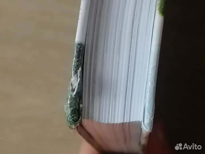 Фрэнсис Бёрнетт, Таинственный сал, Инга Мур