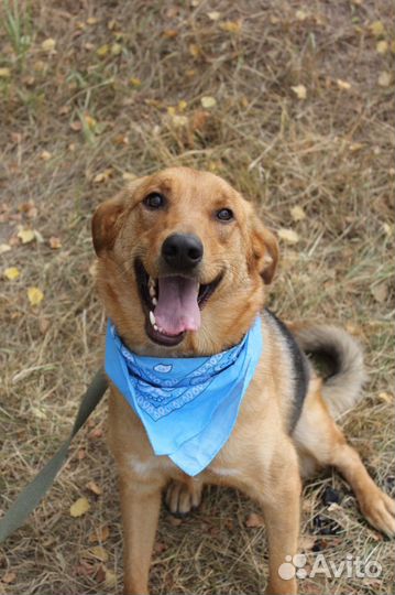 Баффи, несмотря на все пережитое, улыбается