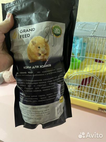 Джунгарский хомяк