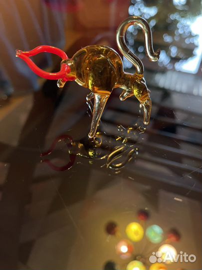 Бычок стеклянный