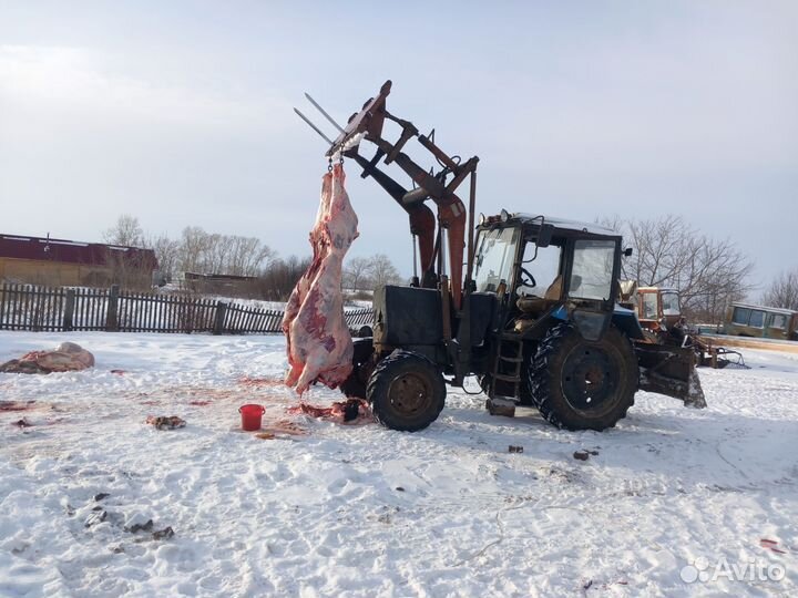 Мясо говядина,свинина