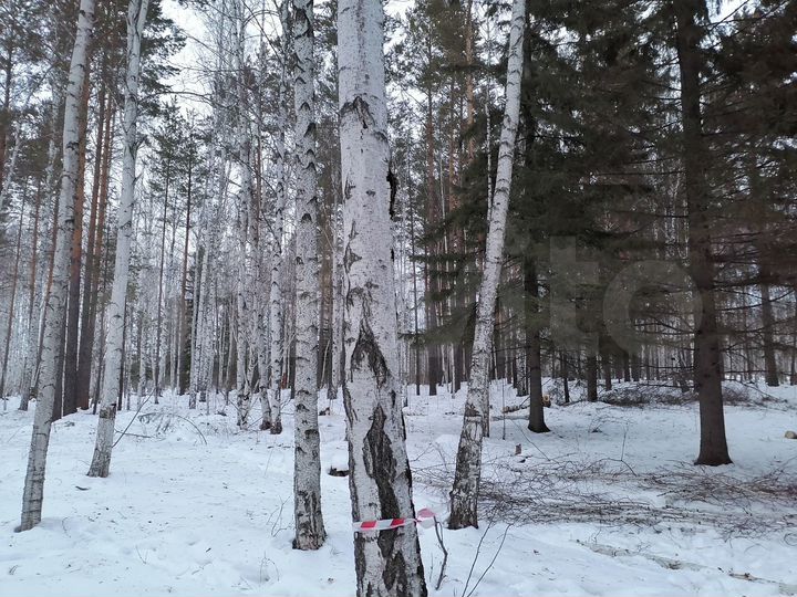 Участок 18 сот. (ИЖС)