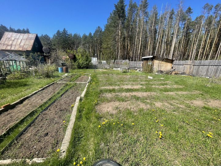 Участок 6 сот. (СНТ, ДНП)