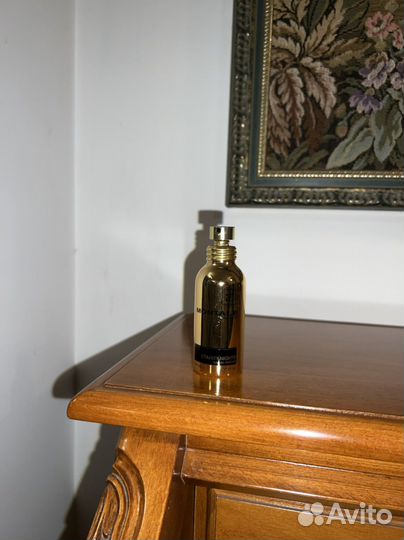 Montale starry nights