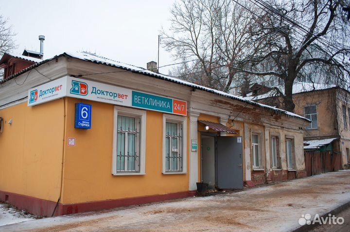 Стерилизация кошки в Калуге и области