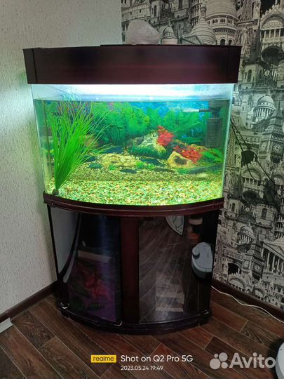 Аквариум