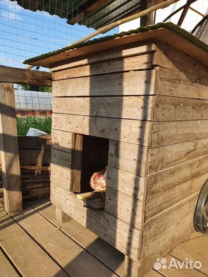 Будка для большой собаки