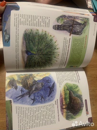 Полная энциклопедия для детей