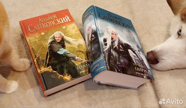 Книги Анджея Сапковского Ведьмак