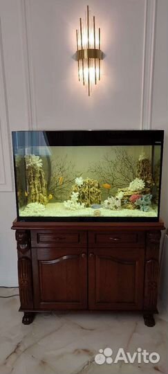 Обслуживание аквариумов