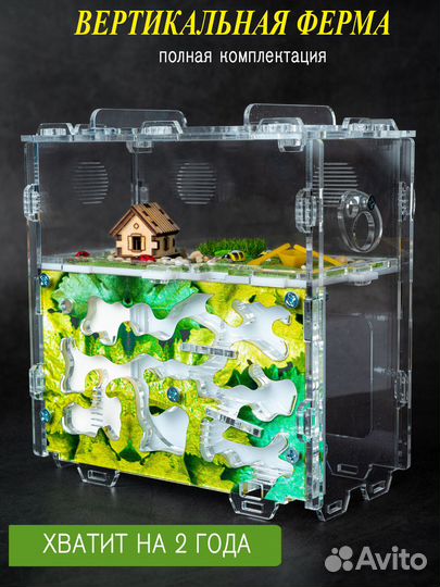 Муравьиная ферма вертикальная Формикарий с гипсом