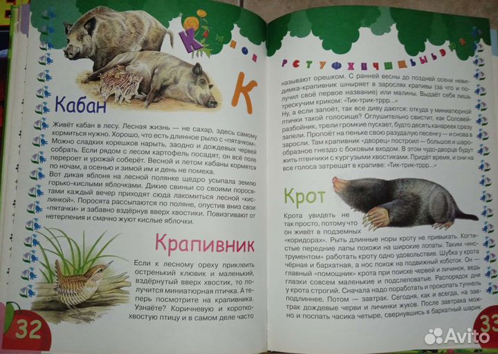 Детская энциклопедия леса Тихонов