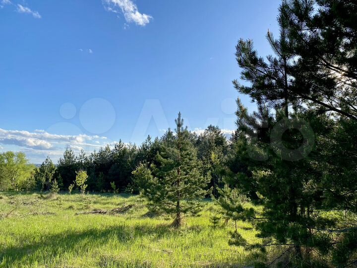 Участок 14,5 сот. (ИЖС)