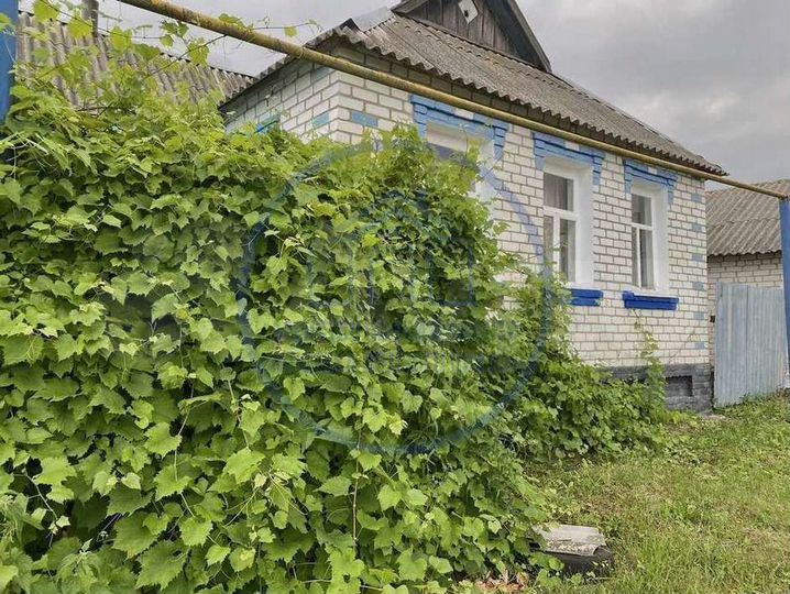 Дом 62 м² на участке 50 сот.