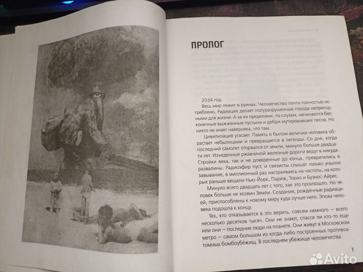Книга метро 2034
