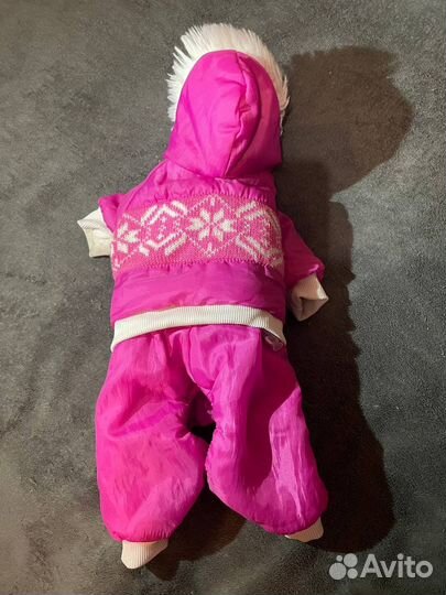 Одежда для собак