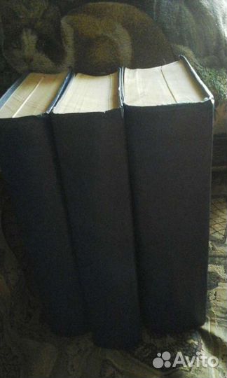 Брокгауз и ефрон 1899 3хтомник