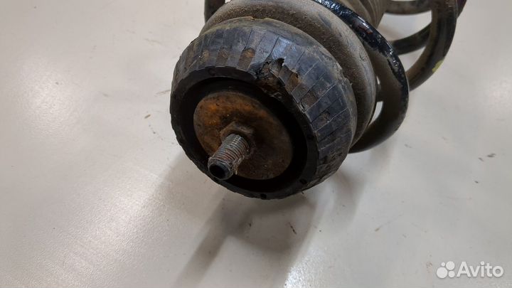 Амортизатор подвески Mercedes Vito W639, 2004