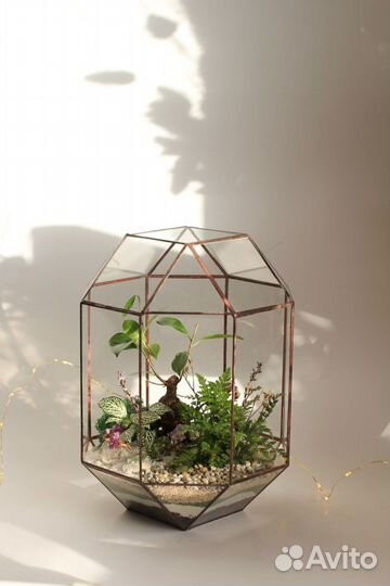 Флорариум в подарок Омск