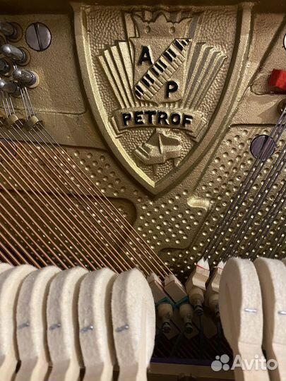 Пианино Petrof (петроф) с банкеткой rockdale