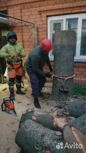 Спил и обрезка деревьев