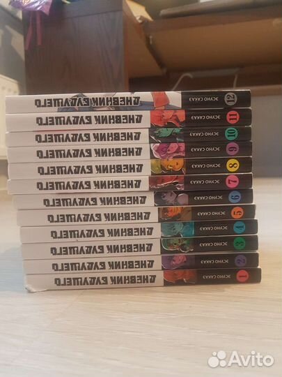 Манга дневник будущего