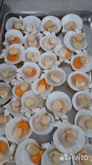 Икорный морской гребешок на полустворке