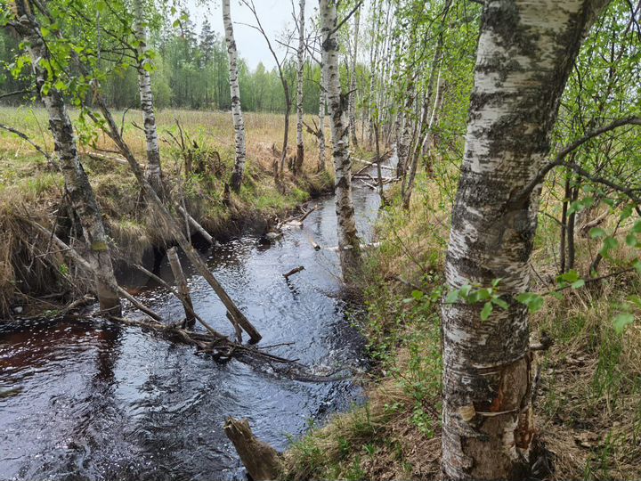 Участок 1,1 га (СНТ, ДНП)