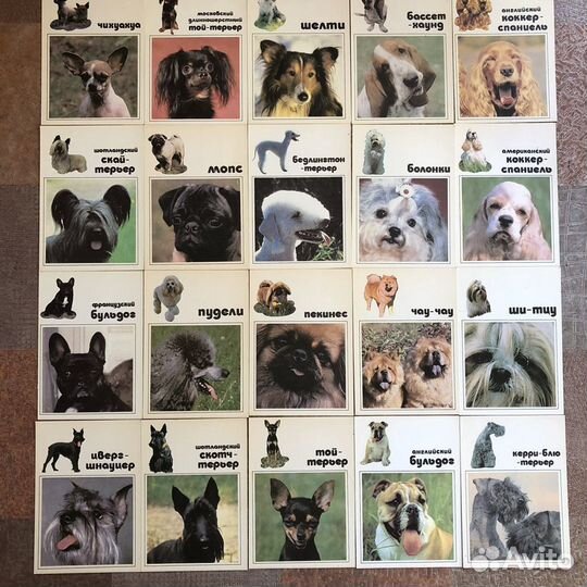 Набор открыток Наши верные друзья 2