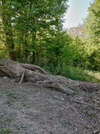 Участок 2,4 сот. (СНТ, ДНП)