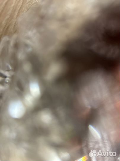 Грудоотсос