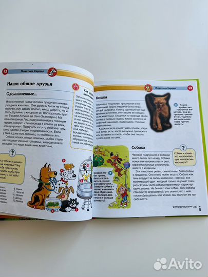 Детская энциклопедия