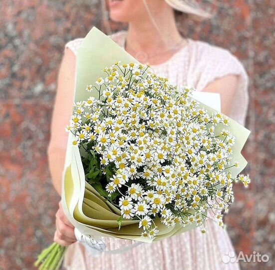 Букеты ромашек