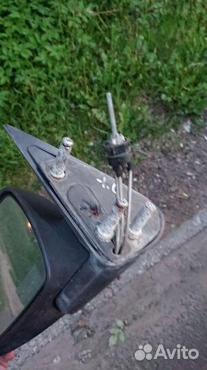 Зеркала калина