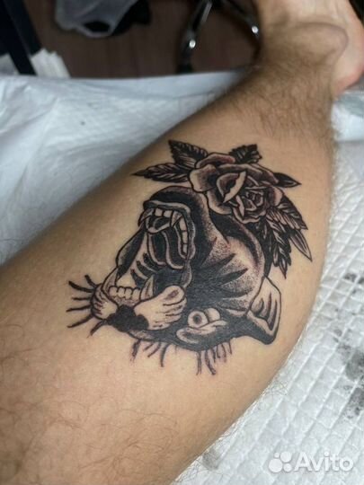 Тату модель за расходники Тату бесплатно