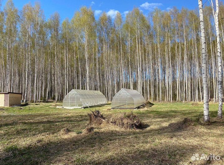 Теплица на дачу