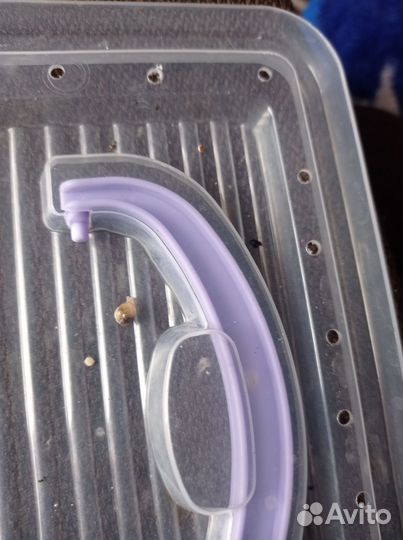 Продам улитят