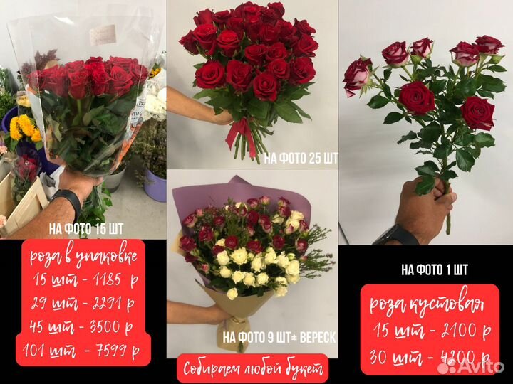 Роза Хризантема цветы 101 роза букеты