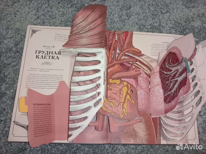 Интерактивная Книга-Панорама 