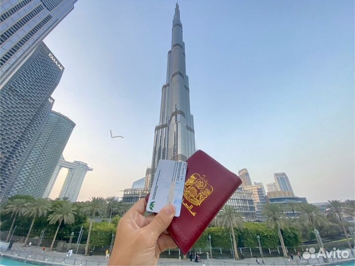 Цифровое гражданство Доминика