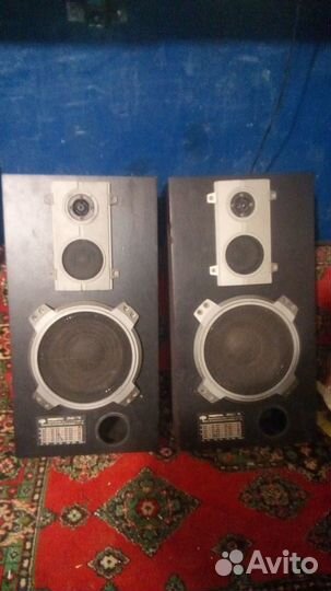 Радиотехника s90 Амфитон 018