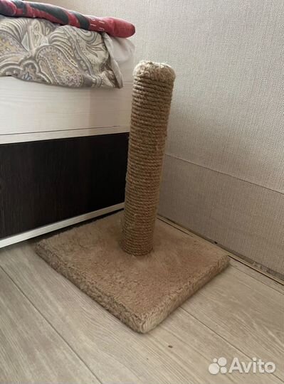 Когтеточка для кошек