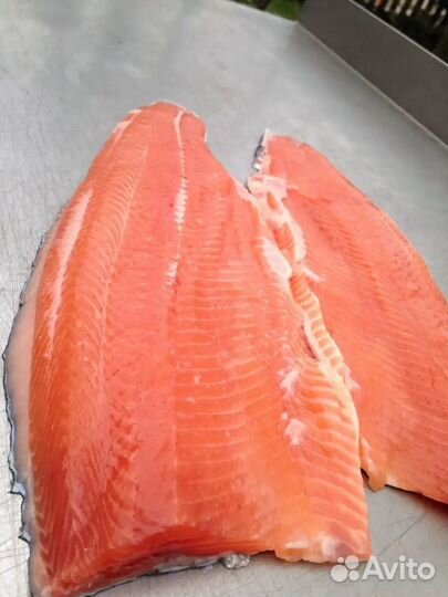 Форель свежая
